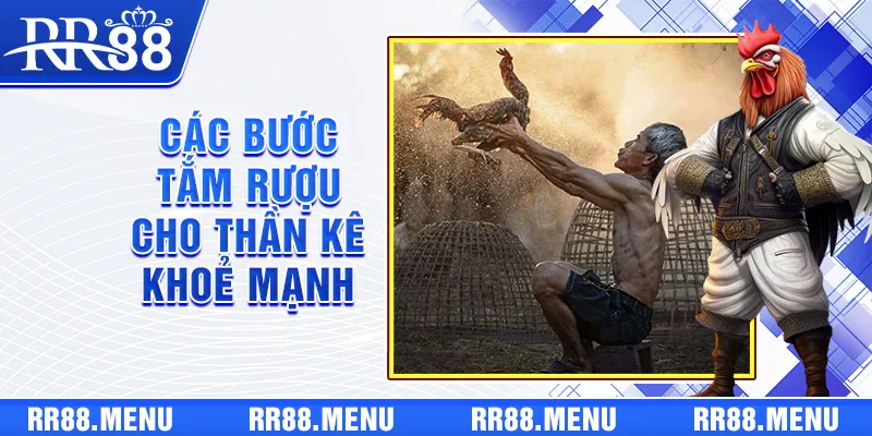 4 bước để bạn sở hữu thần kê khỏe mạnh bằng việc tắm rượu